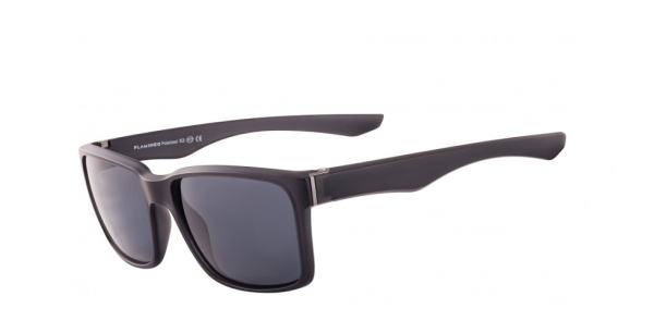 Очки FLAMINGO F8017 c.02