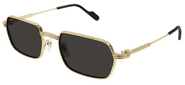 Очки Cartier CT0463S-001 56