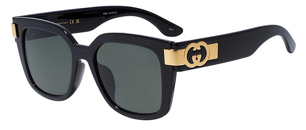 Очки GUCCI GG1690SK 001 54