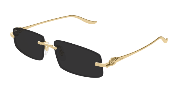 Очки Cartier CT0505S-001 58