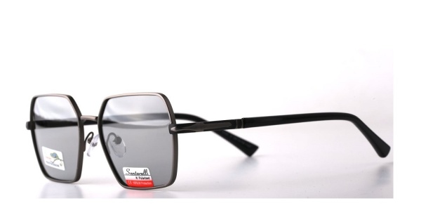 Очки Santarelli ST2185 C3