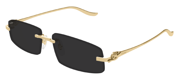 Очки Cartier CT0505S-001 58