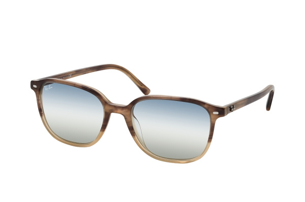 Очки RAY BAN RB2193 LEONARDO 1327/GF 53