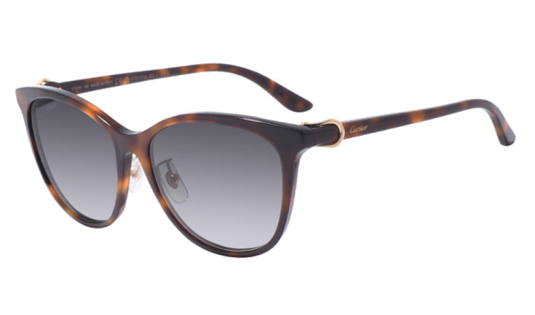 Очки Cartier CT0186SА-005 57