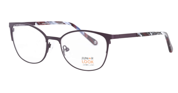 Оправа Junior LOOK JL-1665 c.087
