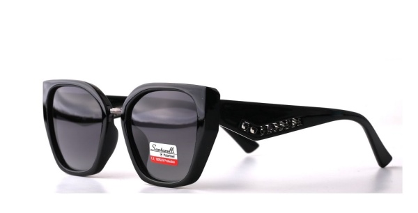 Очки Santarelli ST2413 C3