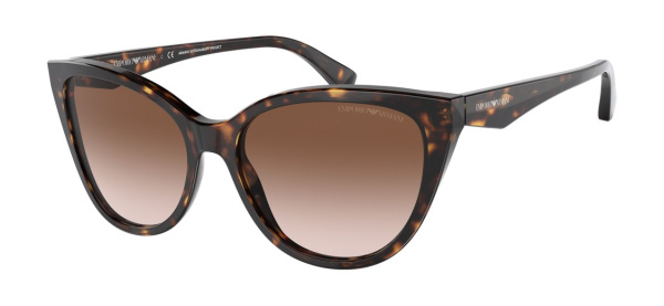 Очки Emporio ARMANI EA4162 5879/13 55