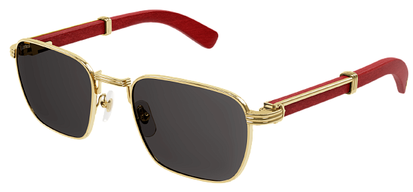 Очки Cartier CT0363S-004 54