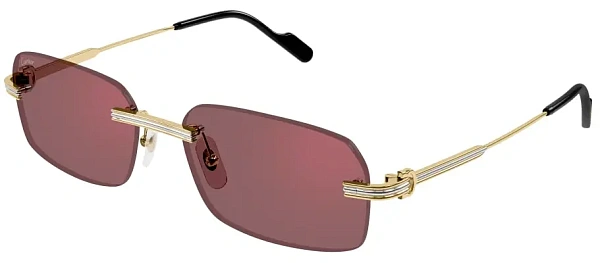 Очки Cartier CT0271S-008 58