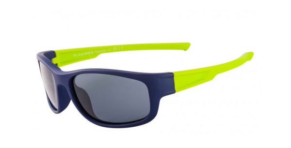 Очки FLAMINGO 930 c.02 