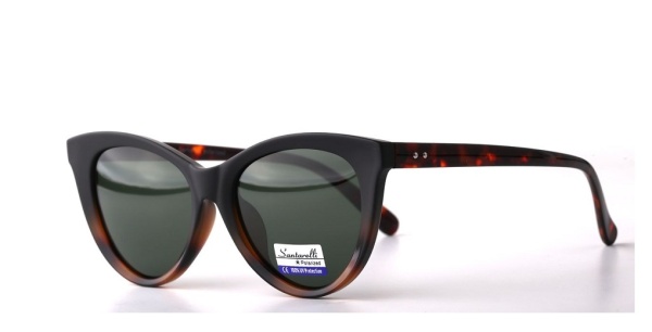 Очки Santarelli LK1819 C2