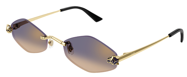 Очки Cartier CT0433S-005 55