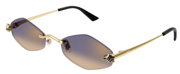 Очки Cartier CT0433S-005 55
