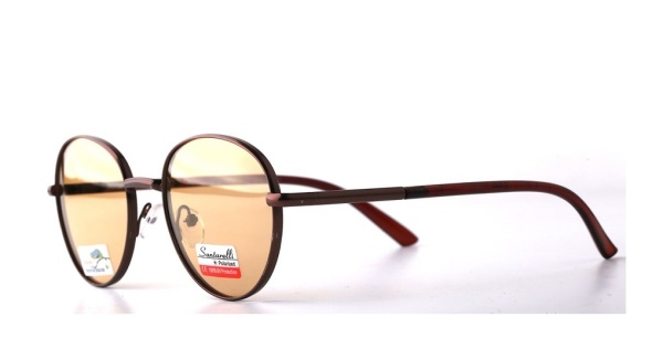 Очки Santarelli ST2180 C2