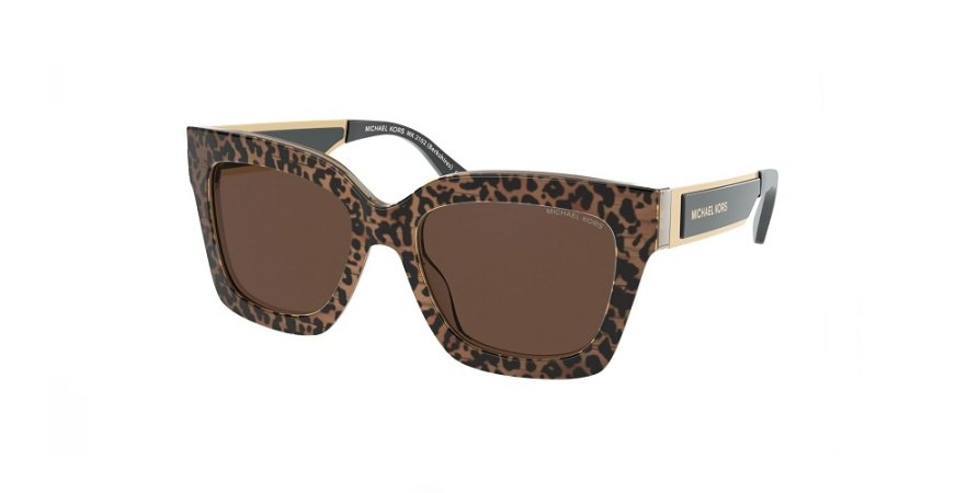 Очки MICHAEL KORS Berkshires (MK 2102) 366173 54