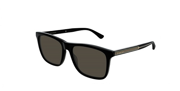 Очки GUCCI GG0381SN 007 57 
