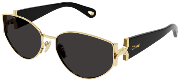 Очки Chloe CH0260S 001 59 