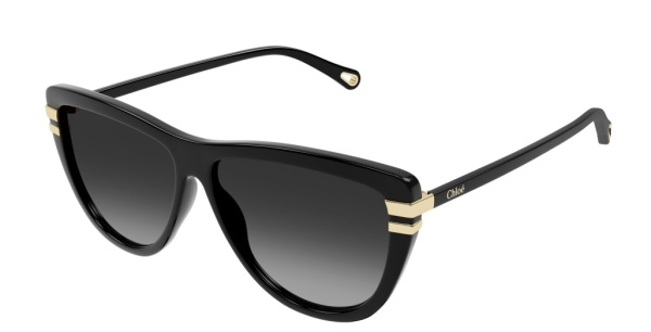 Очки Chloe CH0203S 001 59
