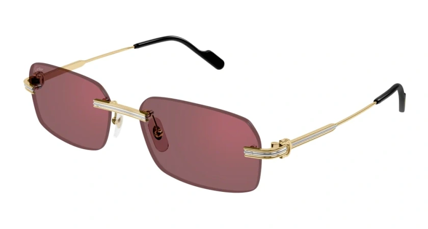 Очки Cartier CT0271S-008 58