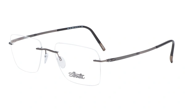 Оправа Silhouette TitanDynamics Contour 5540 6560 19 140